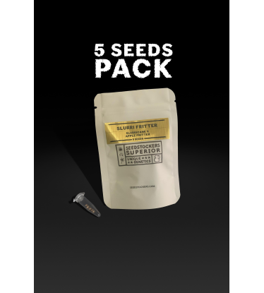Buy Slurri Fritter Limited Edition Seed - Seedstockers