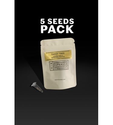 ▷ Buy  Tangy Tree Limited Edition Seeds☘️【Seedstockers Oficial】