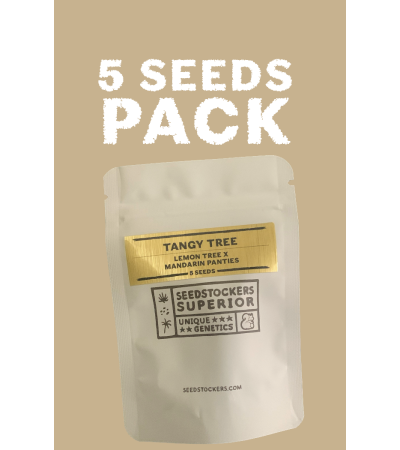 ▷ Buy  Tangy Tree Limited Edition Seeds☘️【Seedstockers Oficial】