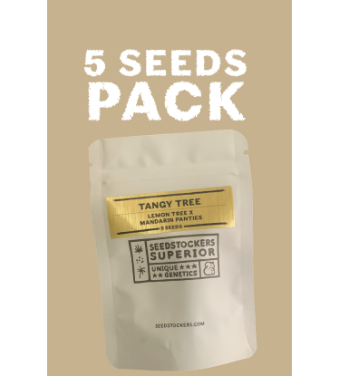 ▷ Buy  Tangy Tree Limited Edition Seeds☘️【Seedstockers Oficial】