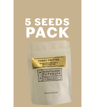 ▷ Buy  Tangy Fritter Limited Edition Seeds☘️【Seedstockers Oficial】