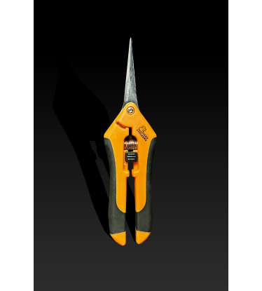 ✂️ Curved Trimming Scissors | Harvest Tools | Shop at Seedstockers UK 🐿️