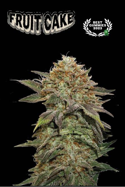 Fruit Cake© Feminized