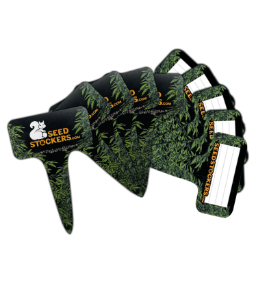 🏷️ Pot Labels | Pack of 10 | Shop at Seedstockers UK 🐿️