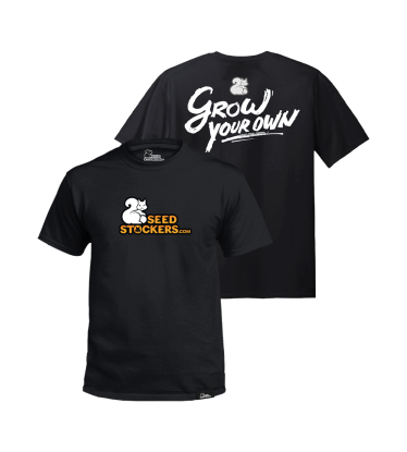 🖤 Black T-Shirt | Seedstockers Streetwear | Shop at Seedstockers UK 🐿️