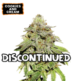 🪴 Cookies & Cream | Feminized Cannabis Seeds | Shop at Seedstockers UK 🐿️