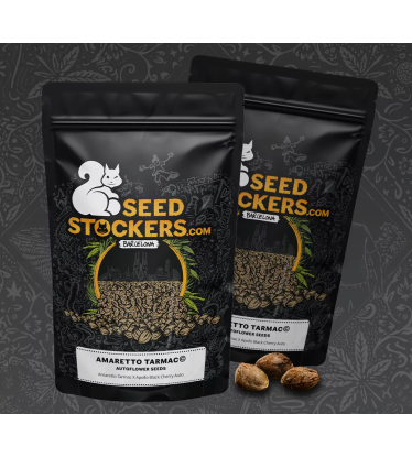 Cannabis seed packaging Amaretto Tarmac Number one cannabis seed brand