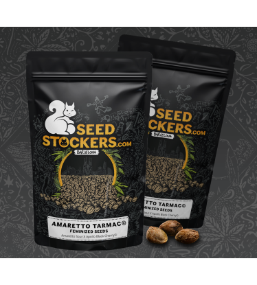 Amaretto Tarmac Feminized Packaging Best Cannabis Seed Brand