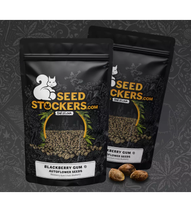 Packaging Blackberry Gum Seeds
