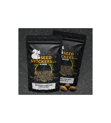 Mandarin Panties Feminized Cannabis seed packaging best seed brand