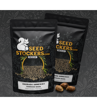 Sagrada Amnesia cannabis seed packaging