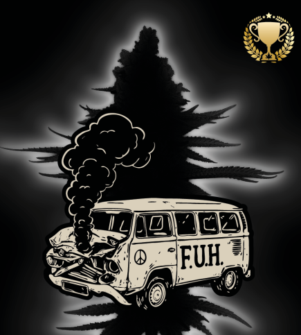 🪴 F.U.H (F*cked Up Hippy)© Autoflower | Cannabis Seeds | Seedstockers UK 🐿️