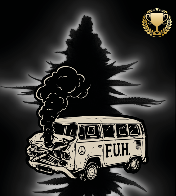 🪴 F.U.H (F*cked Up Hippy)© Autoflower | Cannabis Seeds | Seedstockers UK 🐿️