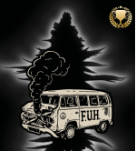 🪴 F.U.H (F*cked Up Hippy)© Autoflower | Cannabis Seeds | Seedstockers UK 🐿️