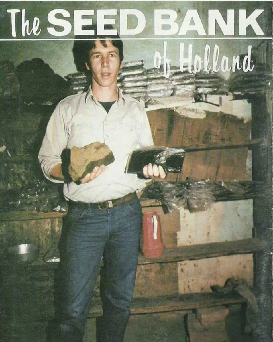 Cover of a vintage cannabis seed catalogue featuring Nevil Schoenmakers