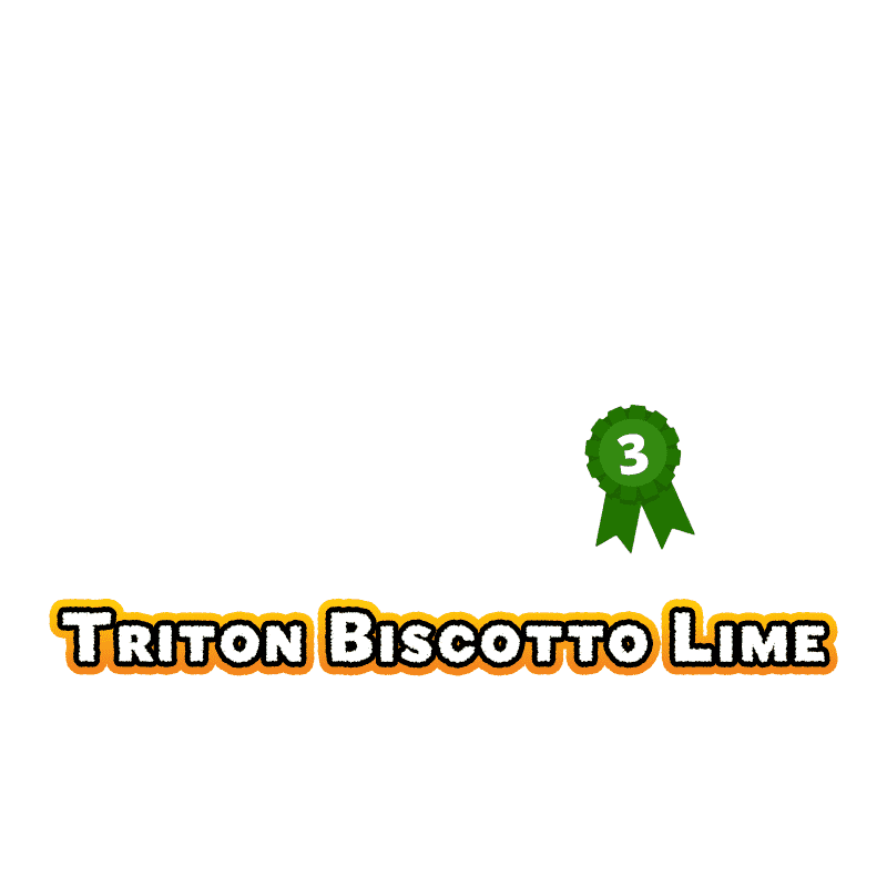 23-triton-biscotto-auto-3-best-new-strain