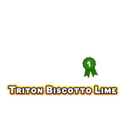 23-triton-biscotto-lime-auto-1-best-new-strain