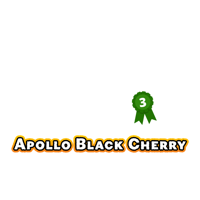 23-apollo-black-cherry-3-best-dry-sift